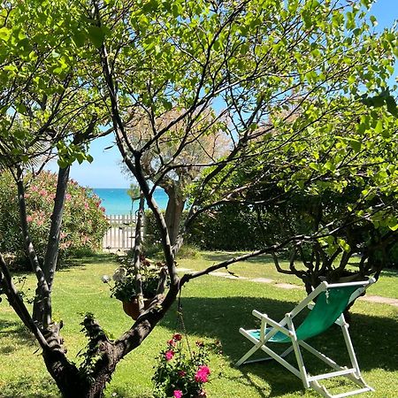 B&B I Versi Del Mare Roseto Degli Abruzzi Bagian luar foto