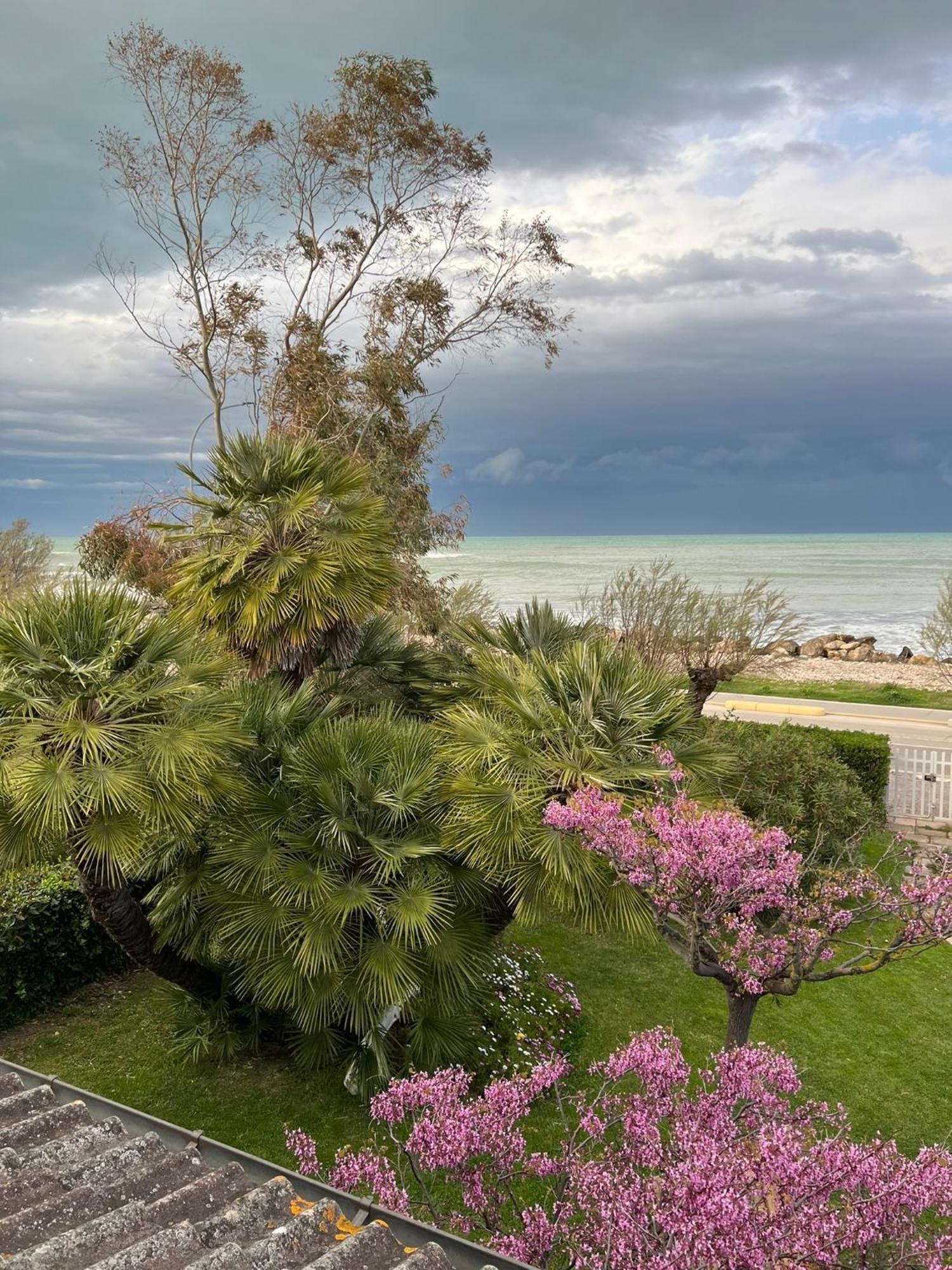 B&B I Versi Del Mare Roseto Degli Abruzzi Bagian luar foto